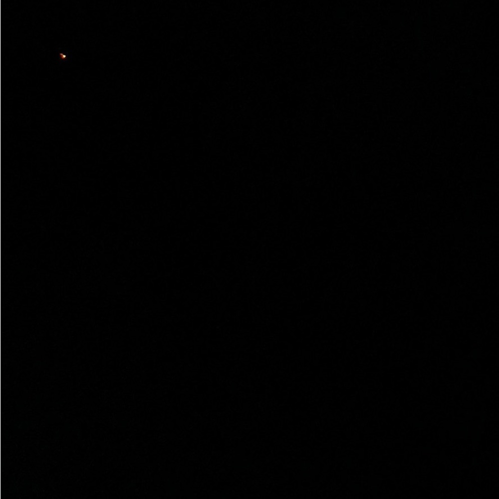 Meet your Posher, Annette